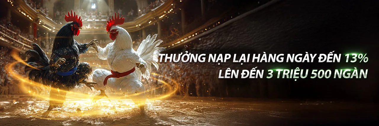 Đá gà trực tuyến kịch tính tại HK79 App